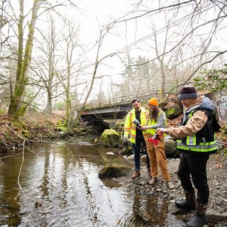 Three people survey a river