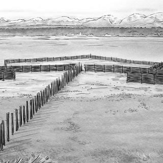 Artistic representation of a winged chevron fish trap; illustration by Eric Simons in Tidal Belongings: First Nations-driven Archaeology, Connaughton et al. 2022.