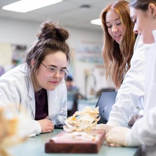 three science students gatherered around a table looking at model of bone structure