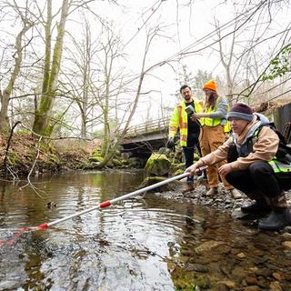 researching tire toxins in local waterways