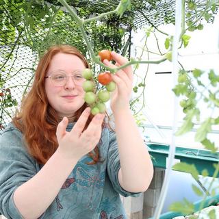 Aquaponics Greenhouse