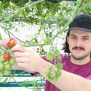 Aquaponics Greenhouse