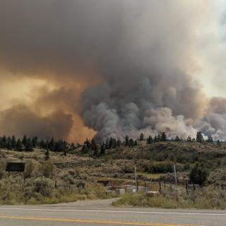 A wildfire burns near a road