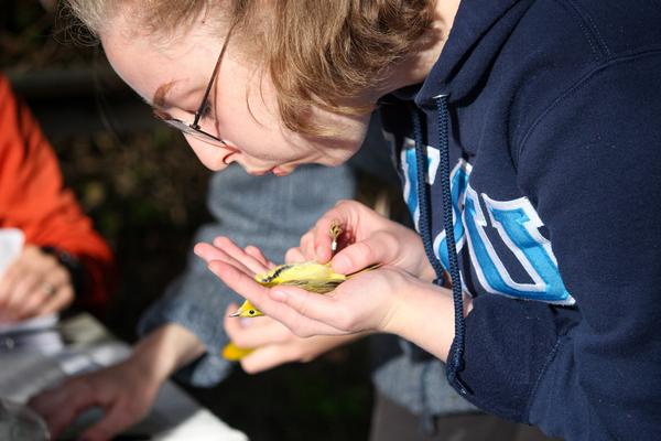 A girl holds a bird in her hands