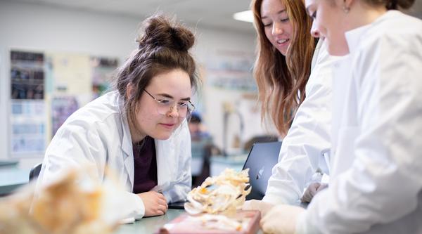 three science students gatherered around a table looking at model of bone structure