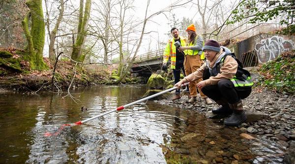 researching tire toxins in local waterways