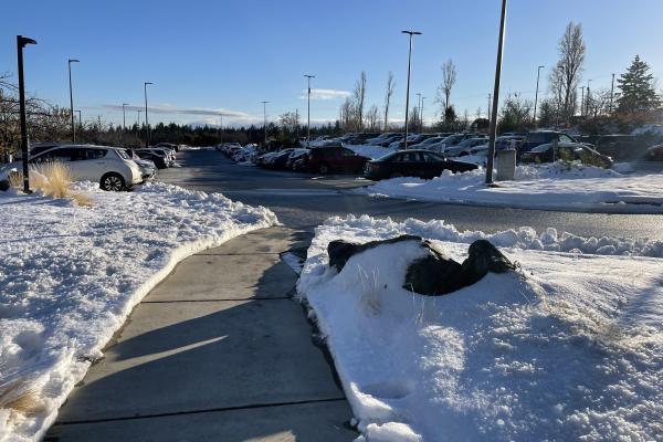 A clear path that has had the snow shoveled off of it with bright blue sky.