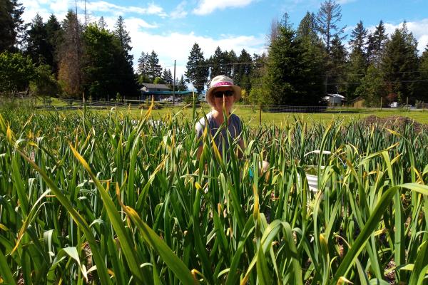 Toni sits in a field of garlic