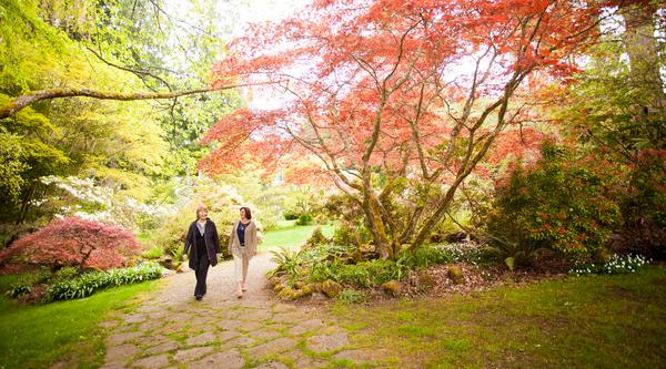 Two people walk along a path near a tree with red leaves at Milner Gardens & Woodland.