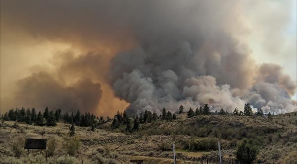 A wildfire burns near a road