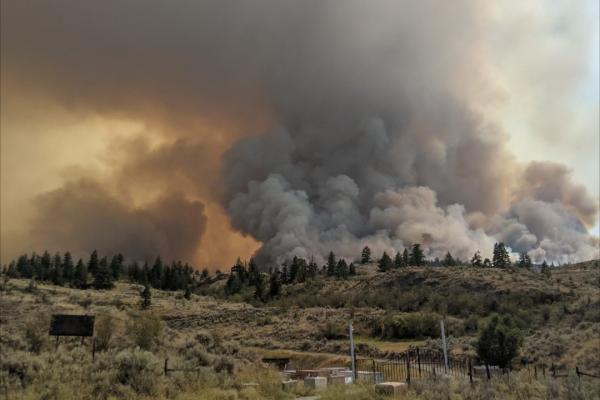 A wildfire burns near a road