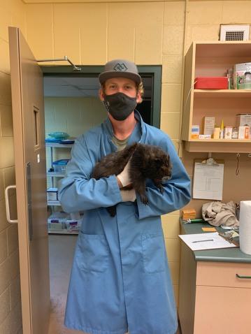 Kevin Gourlay holds a Vancouver Island Marmot.